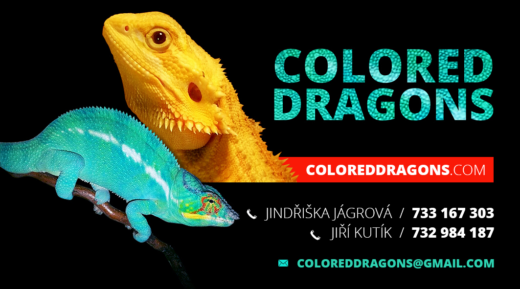 Colored Dragons