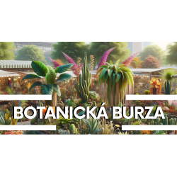 BOTANICKÁ BURZA - 9.11.2024