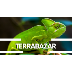 28.6.2025 TERRABAZAR